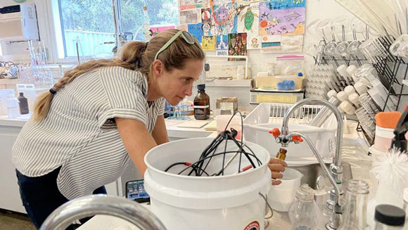 Safety of Maui drinking water focus of UH research | News, Sports, Jobs - Vimarsana News