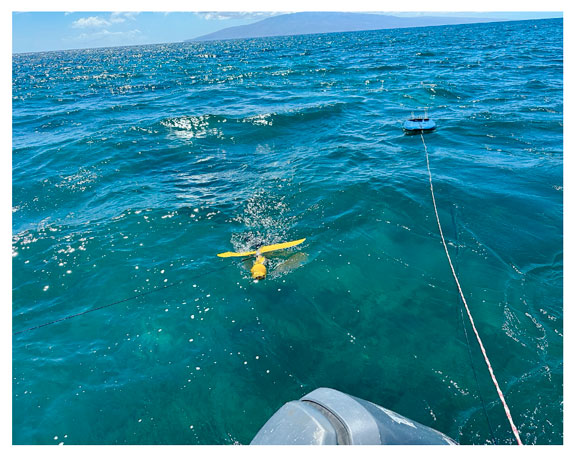 MNMRC and Flying Fish Technologies survey health of West Maui coral reefs | News, Sports, Jobs - Vimarsana News
