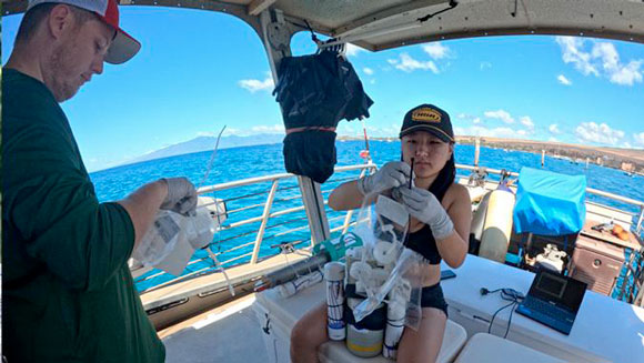 UH researchers investigate nearshore water quality, reef health after Maui fires | News, Sports, Jobs - Vimarsana News