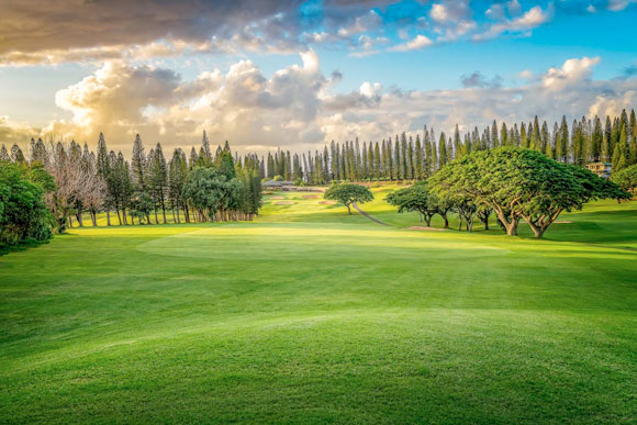 Kokua for Maui events to support the island's people and economic recovery | News, Sports, Jobs - Vimarsana News