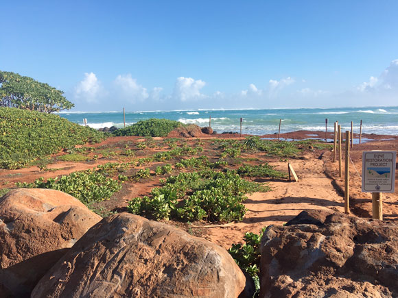 Public input will be key to new county management plan for 23 acres of North Shore coastline | News, Sports, Jobs - Vimarsana News