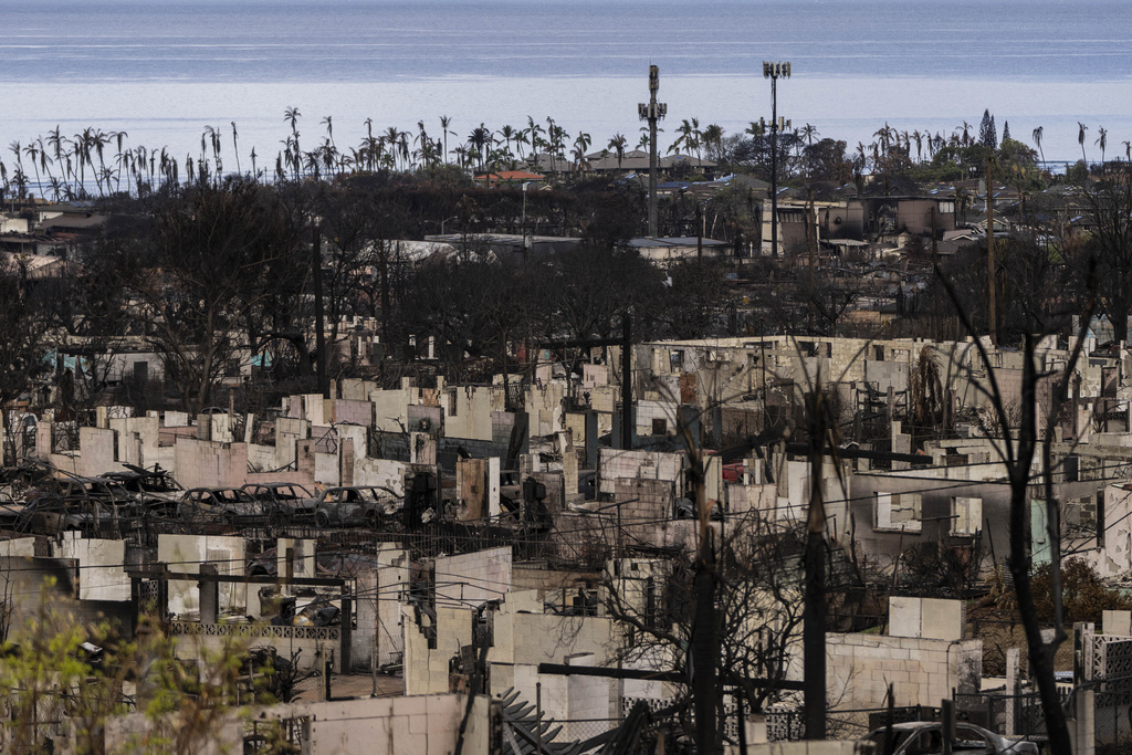 Maui sues cell carriers over wildfire warning alerts that were never received during service outages | News, Sports, Jobs - Vimarsana News