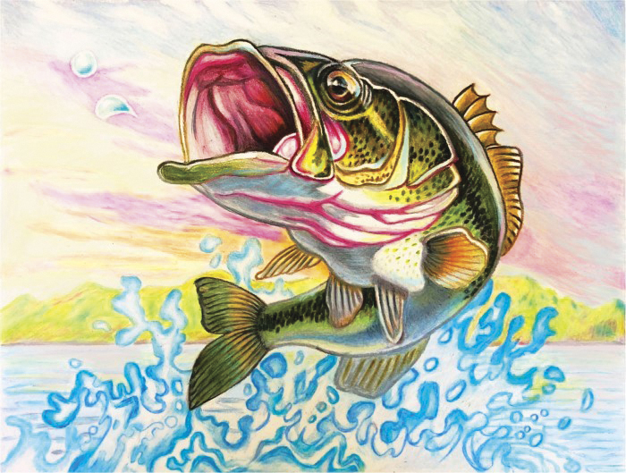 FWC to host Florida State Fish Art Contest | News, Sports, Jobs - Vimarsana News