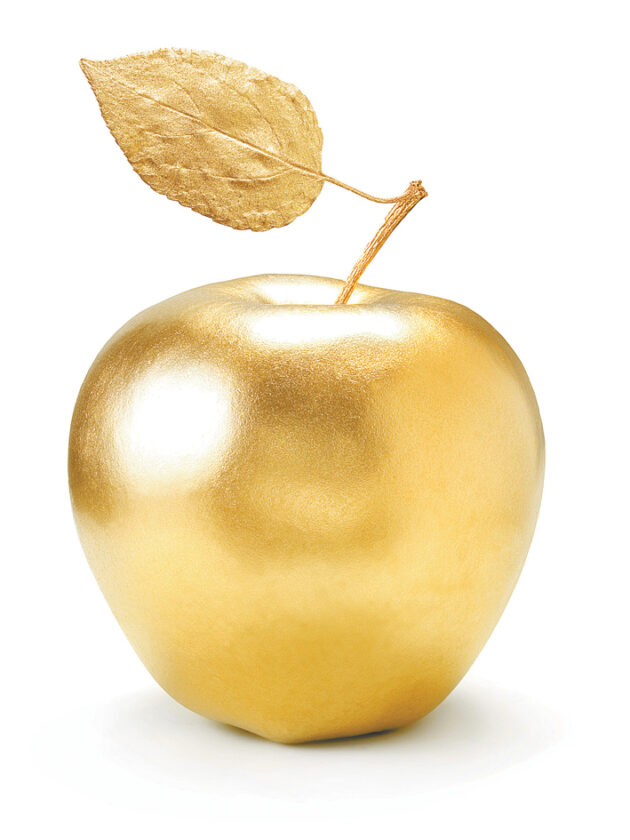 Five Lehigh teachers in the running for Golden Apple | News, Sports, Jobs - Vimarsana News