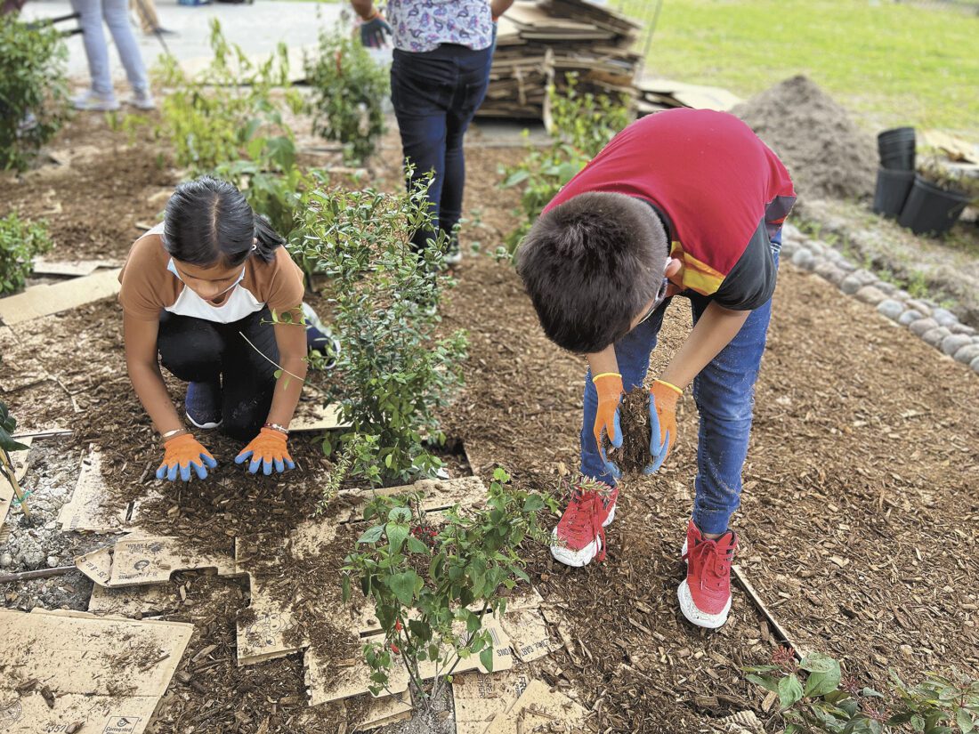 Refuge staff, volunteers assist with school's pollinator garden | News, Sports, Jobs - Vimarsana News