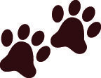 Animals shelter adoptions down, surrenders up | News, Sports, Jobs - Vimarsana News