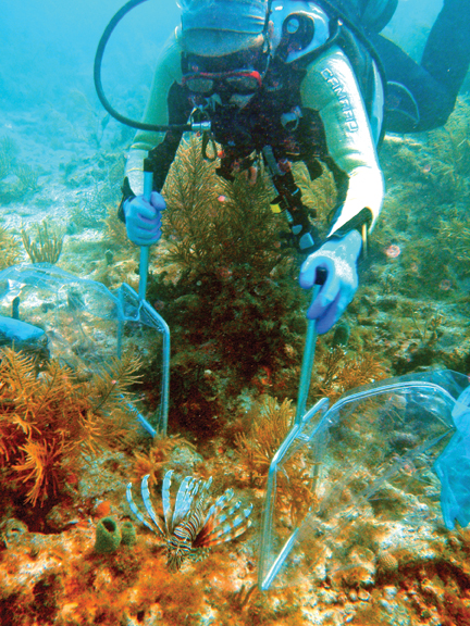 Annual Lionfish Challenge to wrap up in September | News, Sports, Jobs - Vimarsana News
