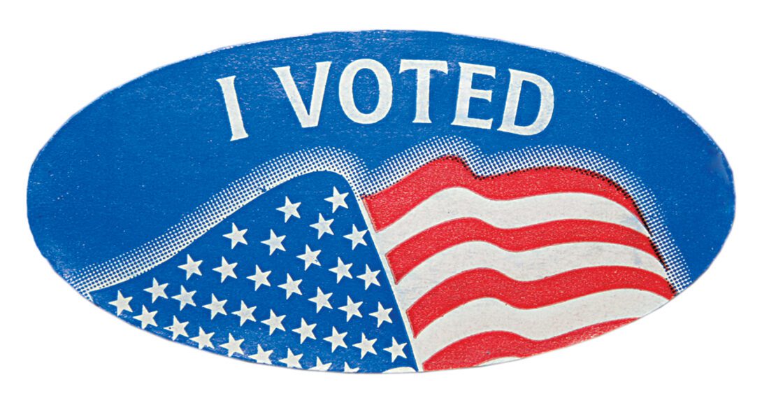 Early voting extended through election day in Lee County | News, Sports, Jobs - Vimarsana News