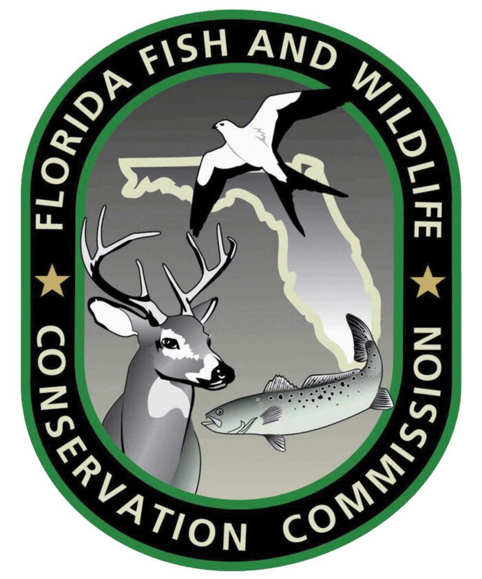 Stone crab season closes May 2 | News, Sports, Jobs - Lehigh Acres Citizen - Vimarsana News