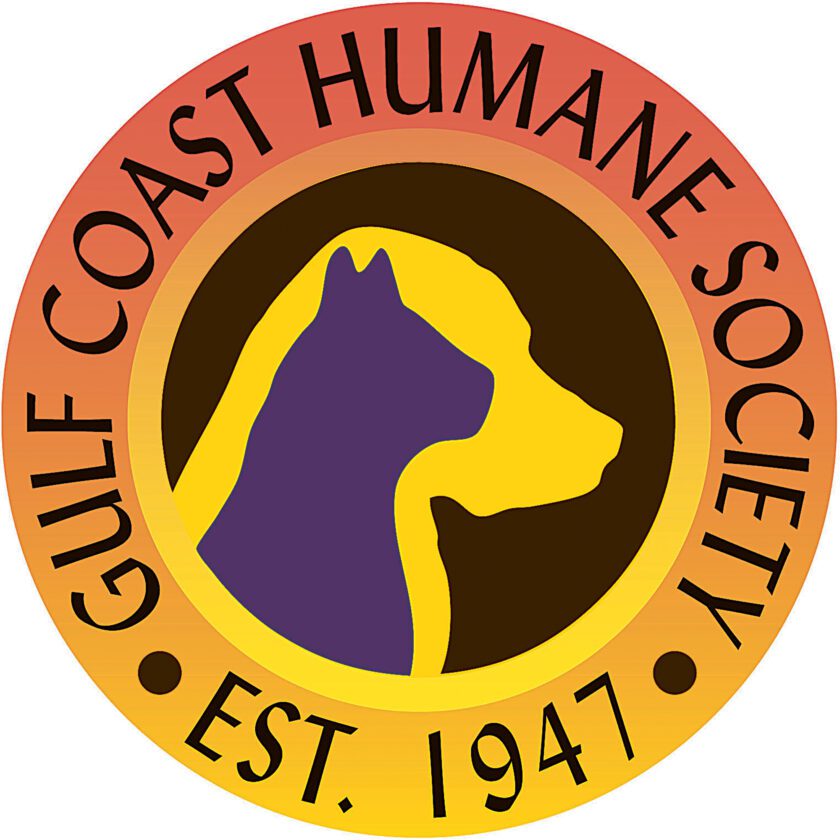Paw-Rates of the Caribbean Adoption Event to be held at Gulf Coast Humane Society, Dec. 16 | News, Sports, Jobs - Vimarsana News