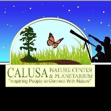 Nature Speaker Series | Patrick O'Donnell dives into his 20 years of shark research in Southwest Florida at the Calusa Nature Center and Planetarium | News, Sports, Jobs - Vimarsana News