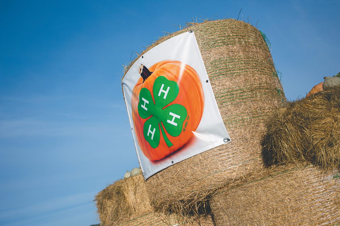 Southwest Florida Ag Expo to showcase youth involvement | News, Sports, Jobs - Vimarsana News