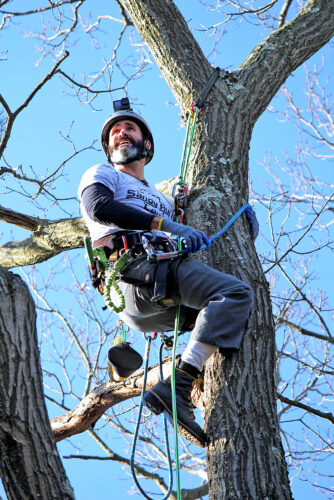 Ag teacher takes message on forestry to the treetops | News, Sports, Jobs - Vimarsana News