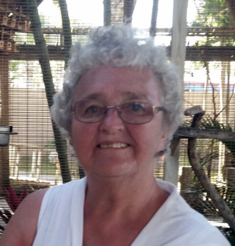 Carole A. Peters | News, Sports, Jobs - Vimarsana News