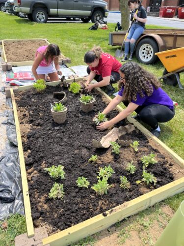 Lesson learned: New outdoor classroom space will be buzzing | News, Sports, Jobs - Vimarsana News