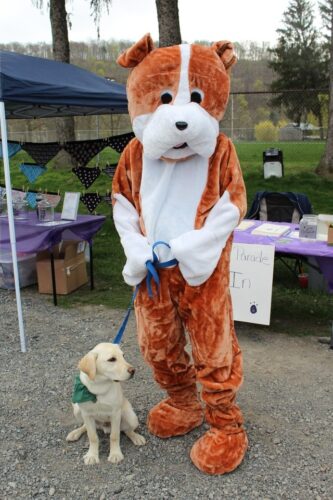 First Bark in Park in Mifflintown to benefit rescue | News, Sports, Jobs - Vimarsana News