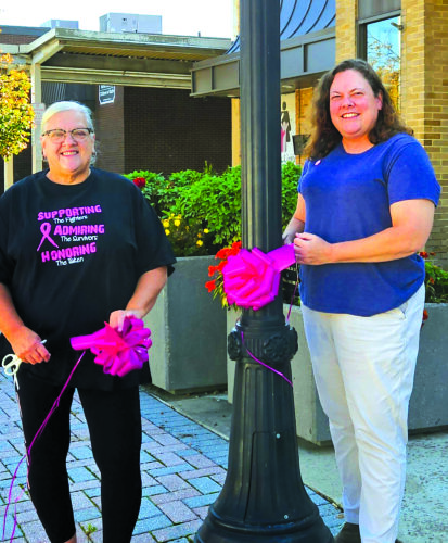 Pink Connection still supports local breast cancer survivors | News, Sports, Jobs - Vimarsana News