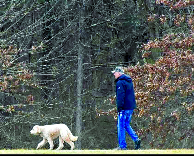 Sunday dog walk to benefit Perry County animal rescue | News, Sports, Jobs - Vimarsana News