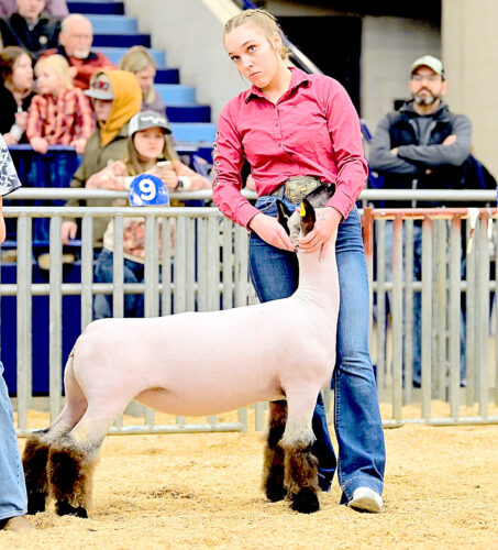Kohler earns prestigious FFA Keystone Degree | News, Sports, Jobs - Vimarsana News