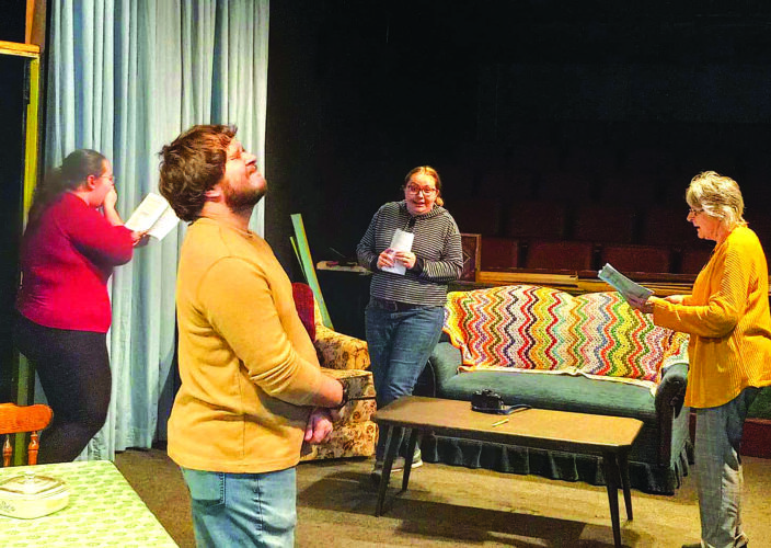 Stone Arch Players present 'The Tin Woman' | News, Sports, Jobs - Vimarsana News
