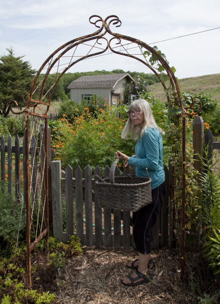 Pest Control Yard Stakes Pest Control