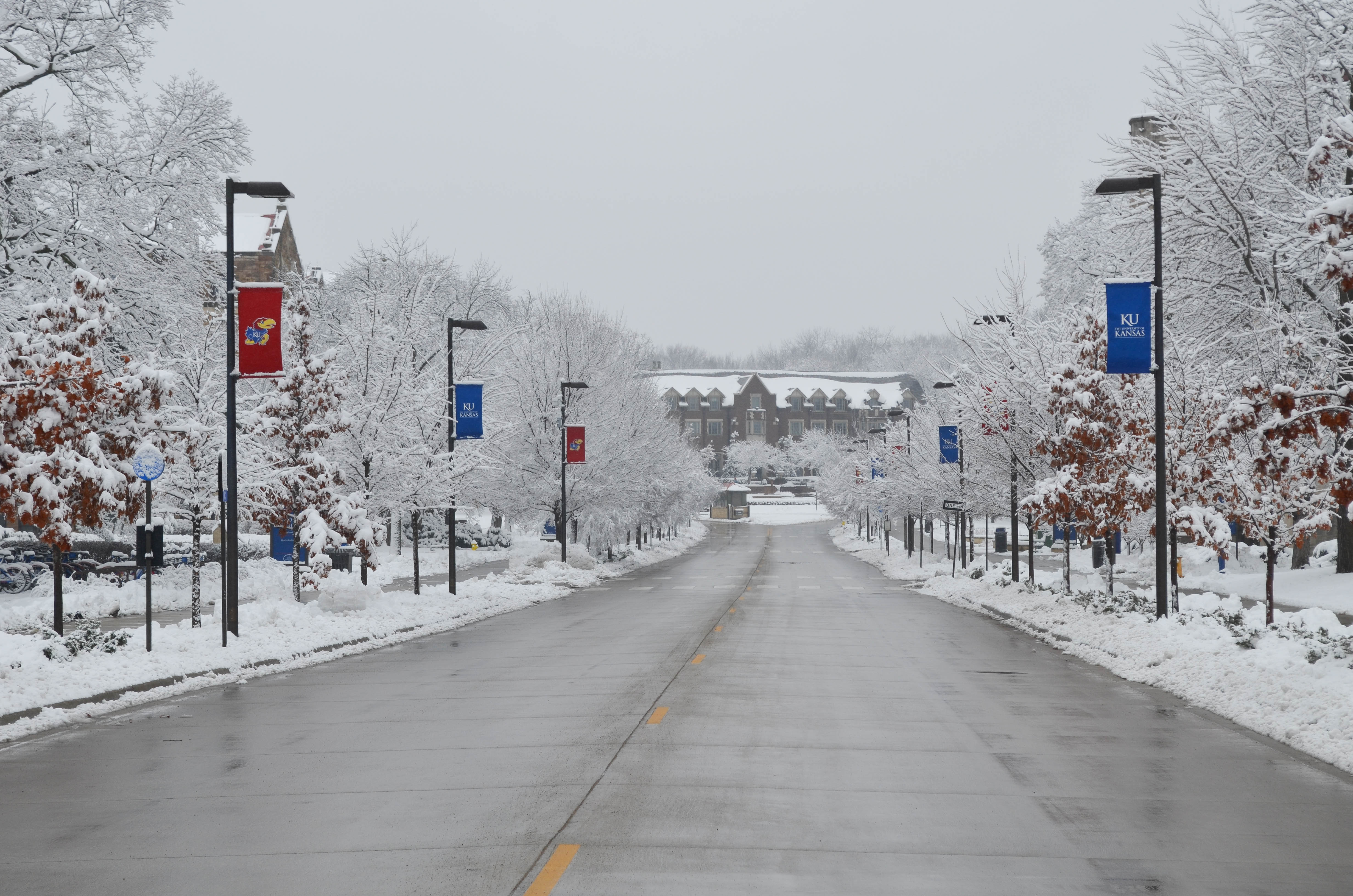 Photo gallery Snowstorm blankets Lawrence News, Sports, Jobs