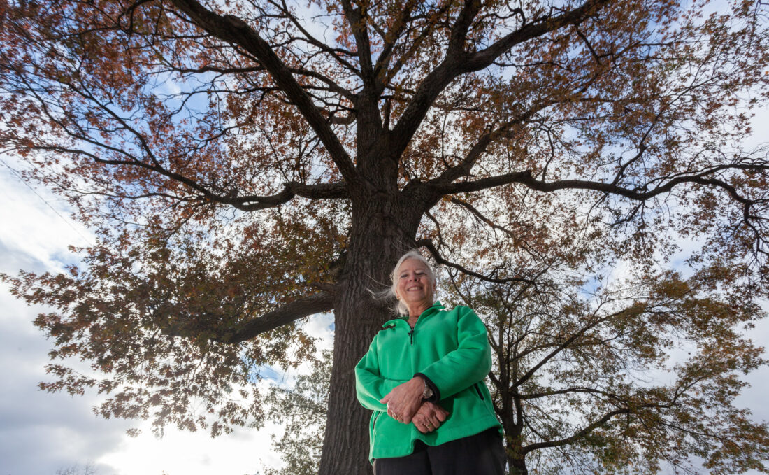 Thankful for Mom's spirit: Her soaring tree stands as a lesson in taking a stand | News, Sports, Jobs - Lawrence Journal-World: news, information, headlines and events in Lawrence, Kansas - Vimarsana News
