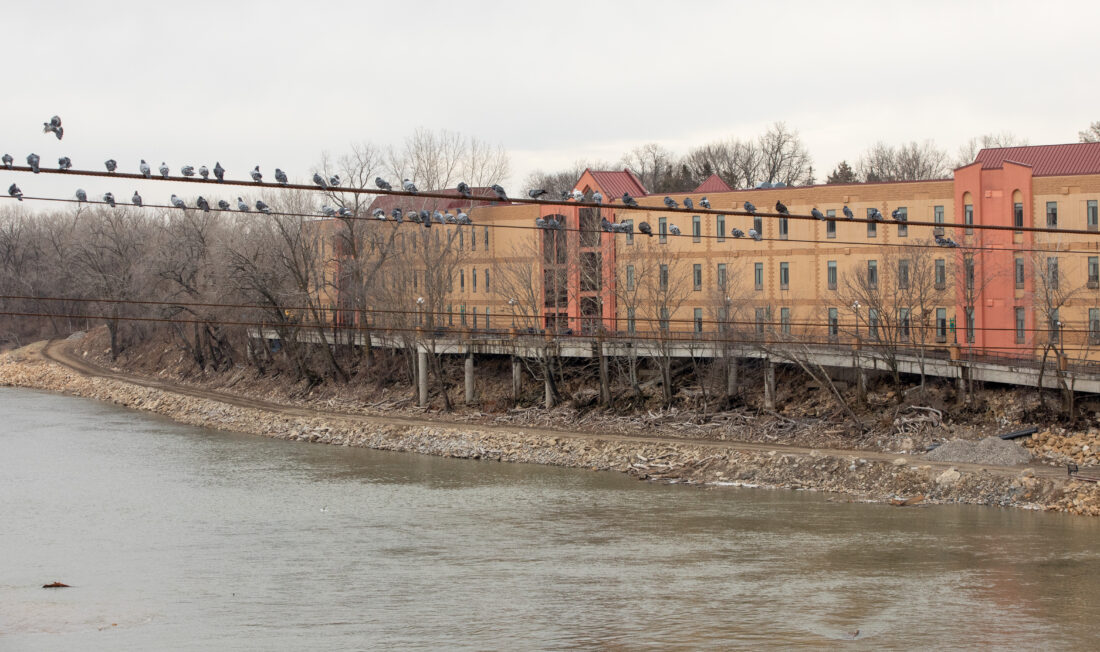 Upcoming project to add terraced plaza, boat ramp and fishing areas to riverbank near downtown Lawrence | News, Sports, Jobs - Lawrence Journal-World: news, information, headlines and events in Lawrence, Kansas - Vimarsana News