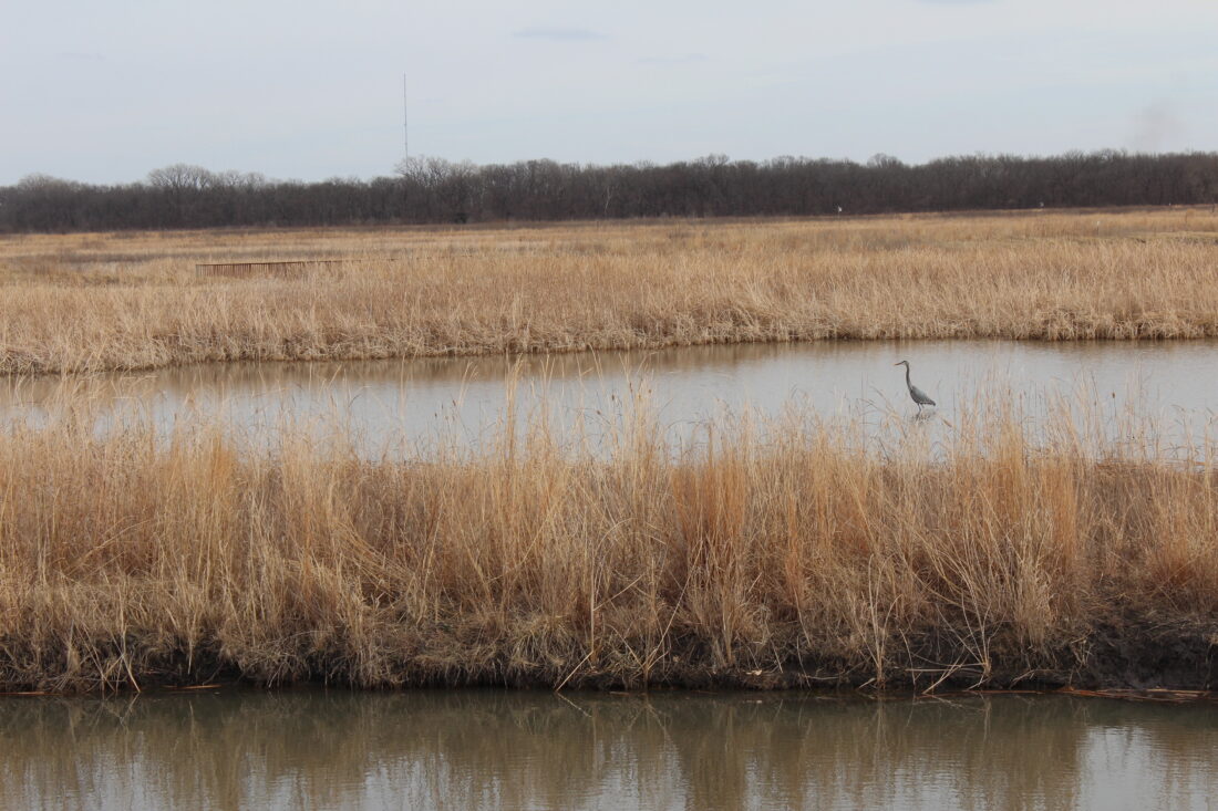 Douglas County begins crafting Open Space Plan to guide protection, management of county's natural lands | News, Sports, Jobs - Lawrence Journal-World: news, information, headlines and events in Lawrence, Kansas - Vimarsana News
