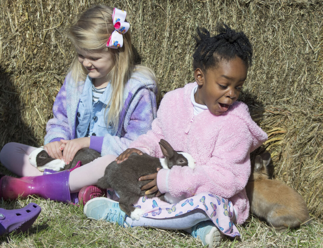 Easter event at Dole Institute to feature egg roll, bunnies, crafts and more | News, Sports, Jobs - Lawrence Journal-World: news, information, headlines and events in Lawrence, Kansas - Vimarsana News