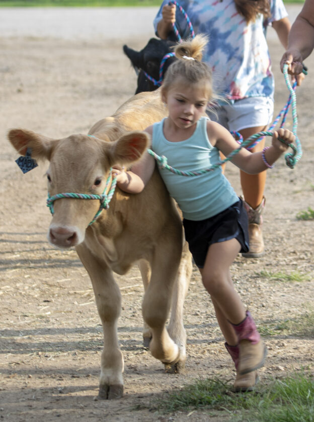 Weekend events include Final Friday, county fair, outdoor activities, yoga and more | News, Sports, Jobs - Lawrence Journal-World: news, information, headlines and events in Lawrence, Kansas - Vimarsana News