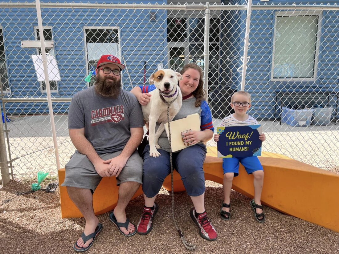 Lawrence Humane Society aims to Clear the Shelter on Saturday; all adoption fees will be waived | News, Sports, Jobs - Lawrence Journal-World: news, information, headlines and events in Lawrence, Kansas - Vimarsana News