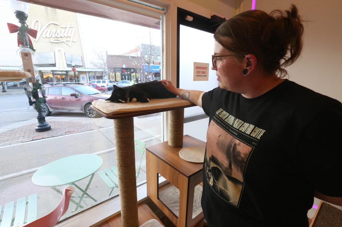 Town Talk | From coffee to cats, this new downtown shop bets it can warm you up; Espurresso becomes city's first 'cat cafe' | News, Sports, Jobs - Lawrence Journal-World: news, information, headlines and events in Lawrence, Kansas - Vimarsana News
