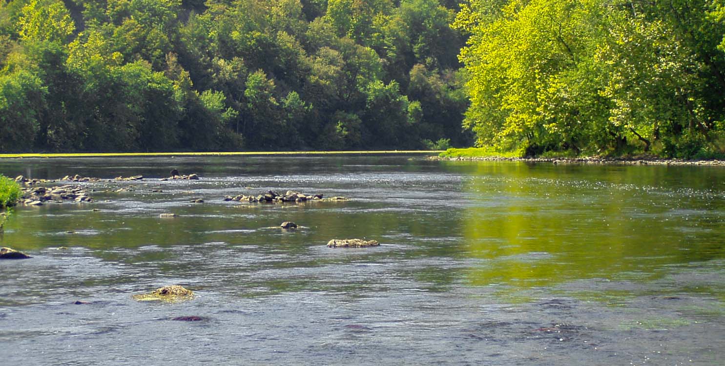 Scenic upper Juniata River full of smallmouth bass News, Sports, Jobs