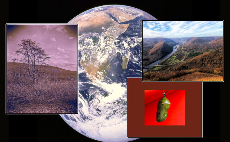 'Worth protecting': CCAC to hold Earth Day juried photography show tomorrow | News, Sports, Jobs - Vimarsana News