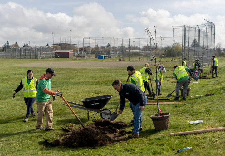 Historic US investment in urban trees underway | News, Sports, Jobs - Vimarsana News