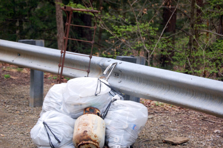 About 15 bags of garbage pulled from stream during clean up | News, Sports, Jobs - Vimarsana News