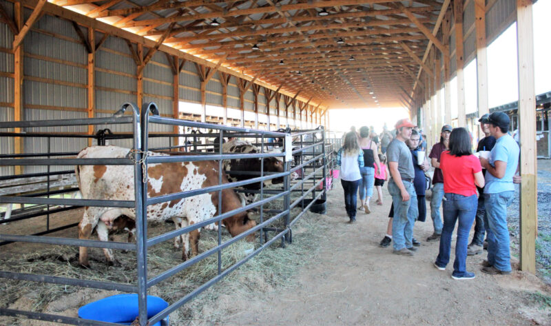 Clinton County Fair kicks off 50th year today | News, Sports, Jobs - Vimarsana News