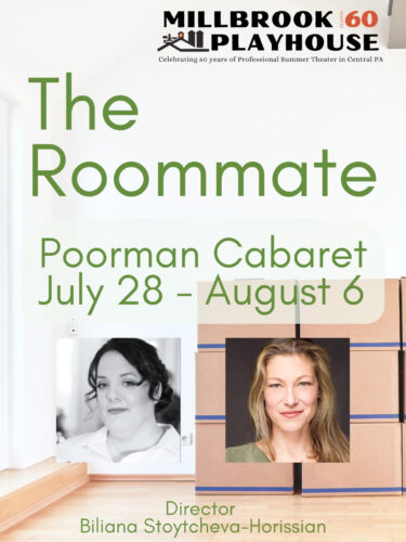 'The Roommate' asks challenging questions amidst many laughs | News, Sports, Jobs - Vimarsana News