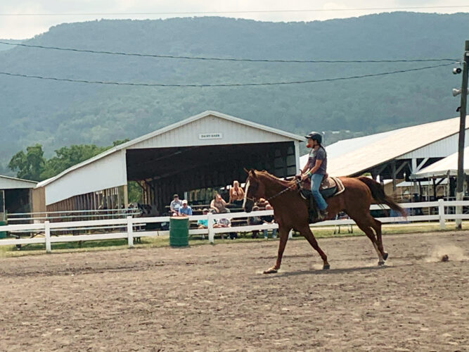 Saddle up: Horseback riding at the fair is a family event | News, Sports, Jobs - Vimarsana News