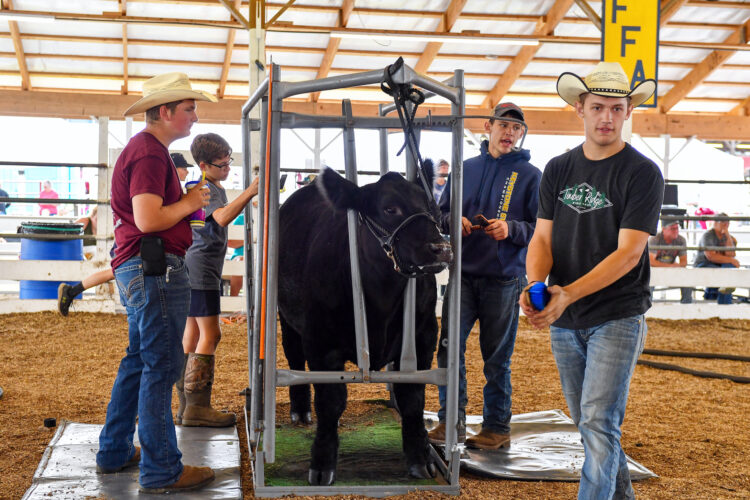 What's happening at the Grange Fair | News, Sports, Jobs - Vimarsana News
