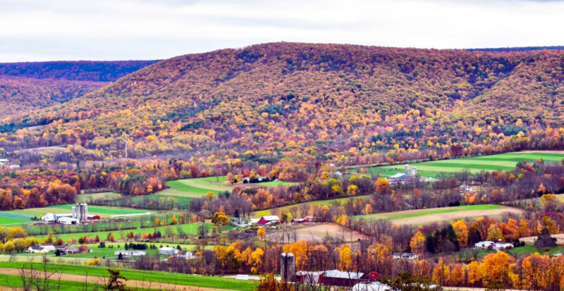 Pa. experts offer fall foliage tips | News, Sports, Jobs - Vimarsana News