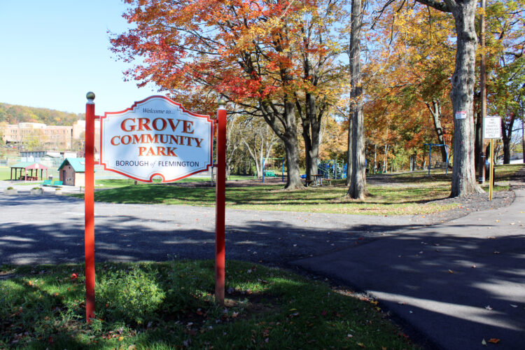 Upgrades on the way for Grove Community Park | News, Sports, Jobs - Vimarsana News