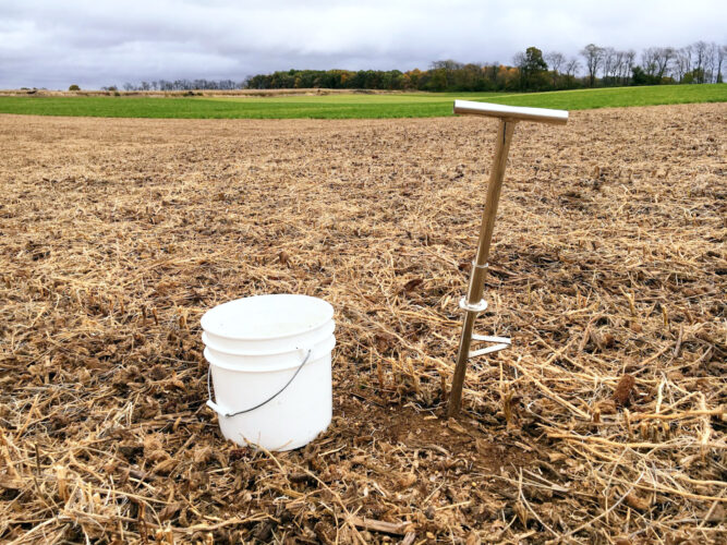 Test your fields for Soybean Cyst Nematode right after harvest | News, Sports, Jobs - Vimarsana News