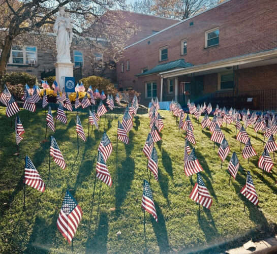 'Field of Flags': St. John School unveils tribute to veterans | News, Sports, Jobs - Vimarsana News