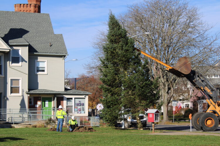 City installs Christmas tree days before DLH ceremony | News, Sports, Jobs - Vimarsana News