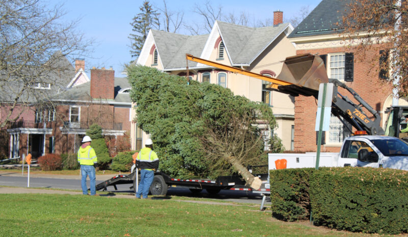 DLH to kick off holidays with tree lighting Sunday | News, Sports, Jobs - Vimarsana News