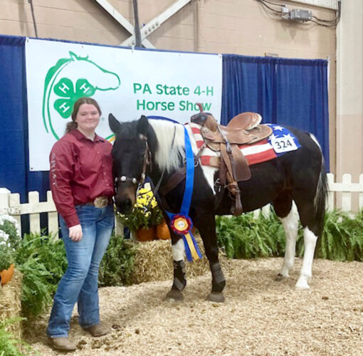 Central Mountain student wins 2023 4-H Equine State Championship in Raised Box Keyhole | News, Sports, Jobs - Vimarsana News