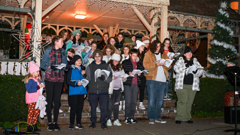 DLH holds annual Tree Lighting Ceremony | News, Sports, Jobs - Vimarsana News
