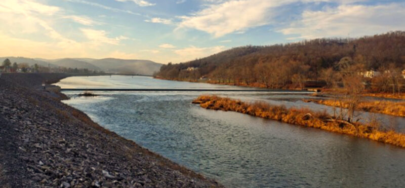 Grant awarded to restore freshwater mussels near Tidlow Dam | News, Sports, Jobs - Vimarsana News